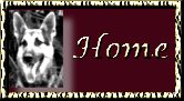War Dog Home