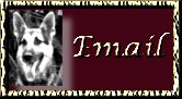 E-Mail Us