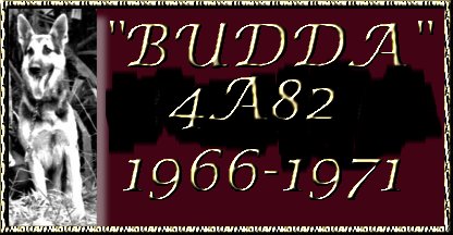 Budda