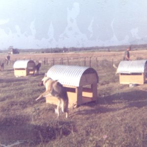 no 4