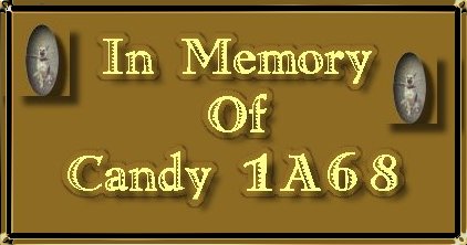 In Memory