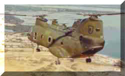 Brothers of Nam