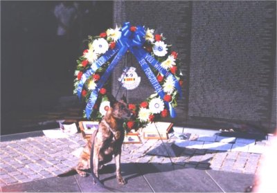 Marine K-9