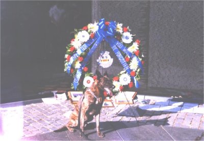 Marine  K-9 Today