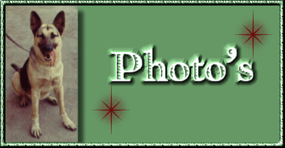 photos
