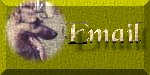 Email Us