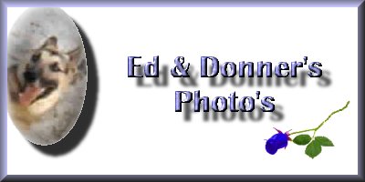 Donner & Ed's Photo's