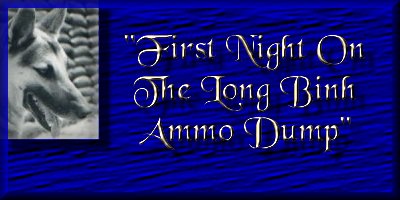 First Night On The Long Binh Anno Dump