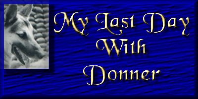 My Last Day With Donner