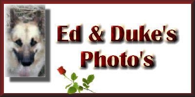 Duke & Ed's Photo's