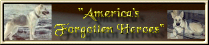 War Dog Banner