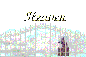 I Wait By the Gate