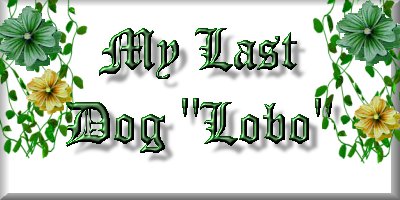 My Last Dog Lobo