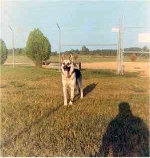 Max 13