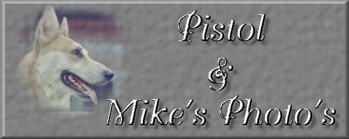 Pistol and Mike's Photos