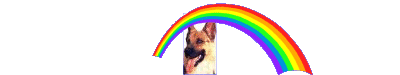 rainbowbar