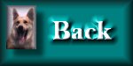 Rebel Home Page