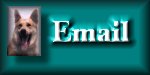 Email Me