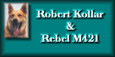 Rebel M421