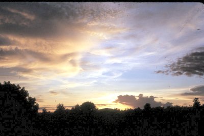 Skies