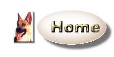K9 home